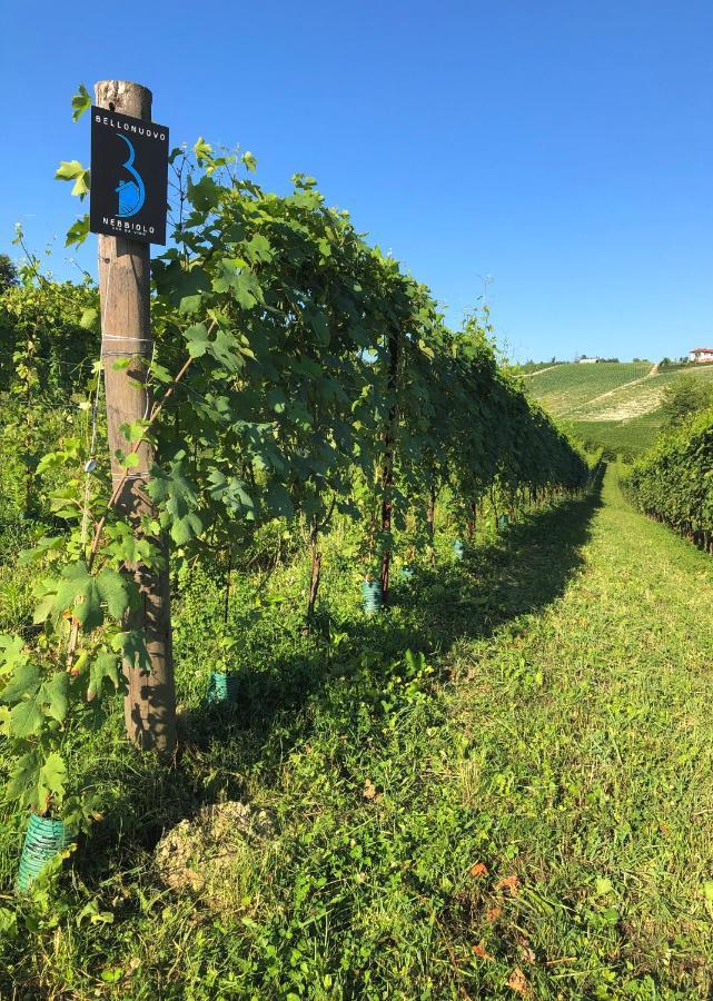 Cascina Bellonuovo Alba  Luaran gambar